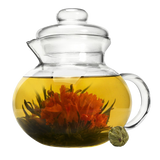 Primula Gift Set of 12 Assorted Green Tea With Fresh Jasmine Flowers